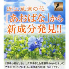 画像3: 新発売 減糖青花 げんとうあおばな 2g×30包入 送料無料 栄養補助食品 青花イミノ糖（DNJ、DMDP）農薬を使用せずに栽培 (3)